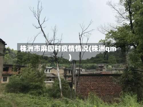 株洲市麻园村疫情情况(株洲qm)