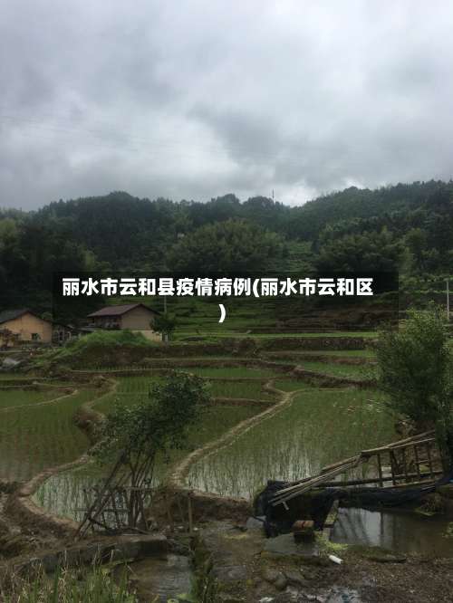 丽水市云和县疫情病例(丽水市云和区)-第3张图片