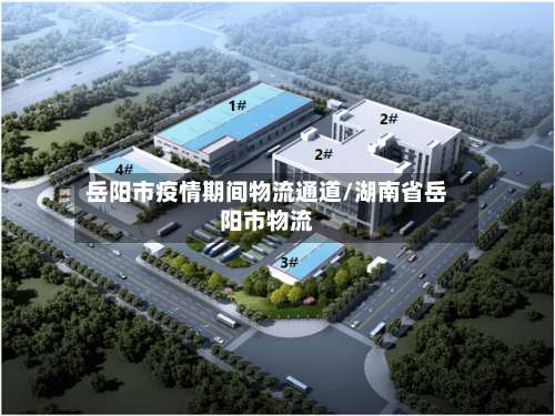 岳阳市疫情期间物流通道/湖南省岳阳市物流