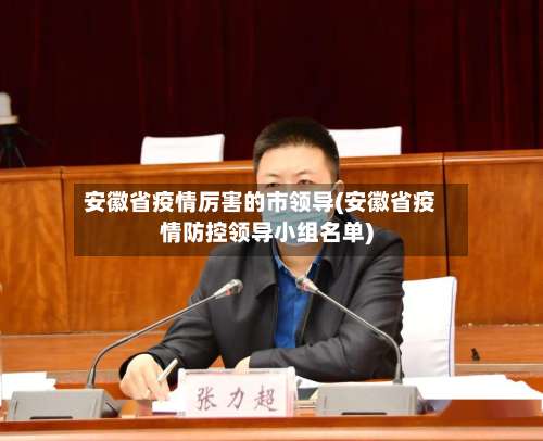 安徽省疫情厉害的市领导(安徽省疫情防控领导小组名单)