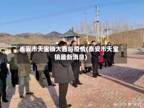 泰安市天宝镇大西峪疫情(泰安市天宝镇最新消息)