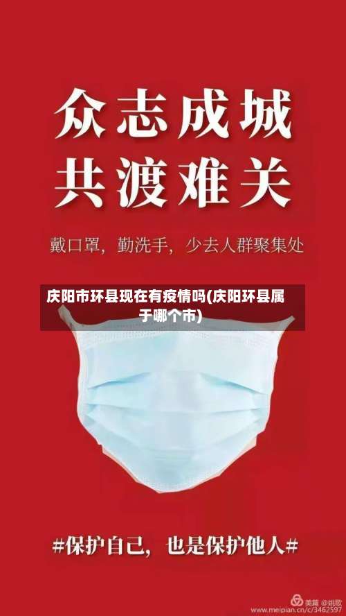 庆阳市环县现在有疫情吗(庆阳环县属于哪个市)-第2张图片