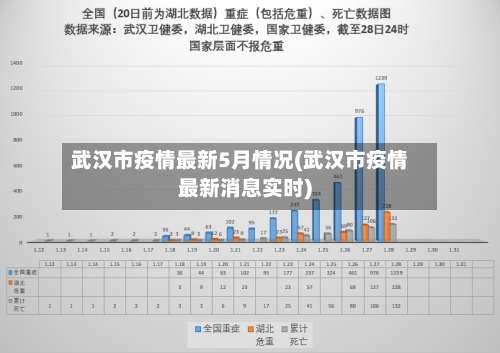 武汉市疫情最新5月情况(武汉市疫情最新消息实时)-第2张图片