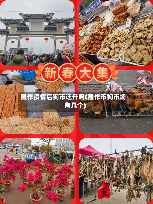 焦作疫情后狗市还开吗(焦作市狗市场有几个)