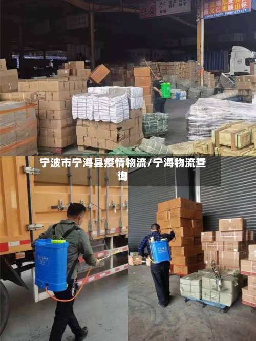 宁波市宁海县疫情物流/宁海物流查询