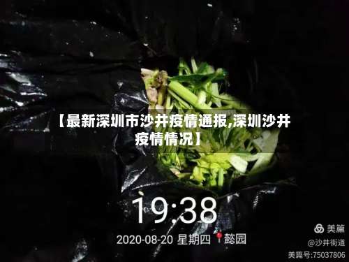 【最新深圳市沙井疫情通报,深圳沙井疫情情况】-第2张图片