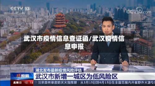 武汉市疫情信息查证函/武汉疫情信息申报