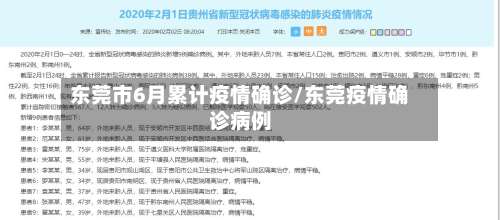 东莞市6月累计疫情确诊/东莞疫情确诊病例