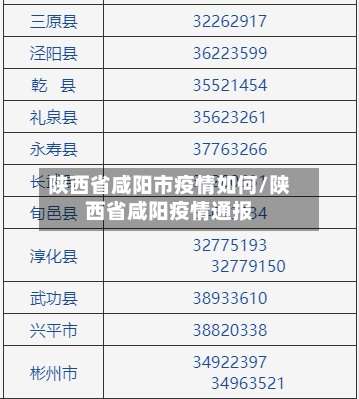 陕西省咸阳市疫情如何/陕西省咸阳疫情通报-第2张图片