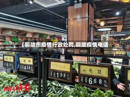 【铜陵市疫情行政处罚,铜陵疫情电话】