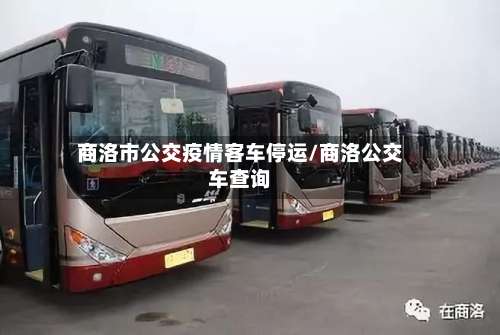 商洛市公交疫情客车停运/商洛公交车查询