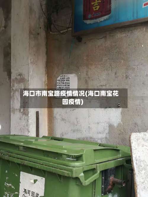 海口市南宝路疫情情况(海口南宝花园疫情)