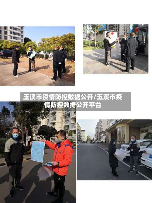 玉溪市疫情防控数据公开/玉溪市疫情防控数据公开平台