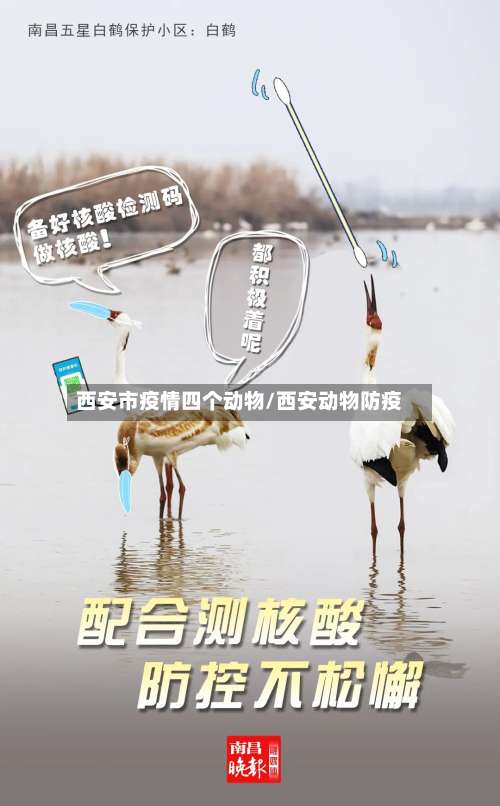 西安市疫情四个动物/西安动物防疫