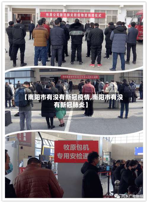 【南阳市有没有新冠疫情,南阳市有没有新冠肺炎】-第2张图片