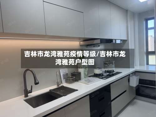 吉林市龙湾雅苑疫情等级/吉林市龙湾雅苑户型图