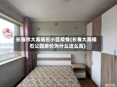 长春市大禹褐石小区疫情(长春大禹褐石公园房价为什么这么高)