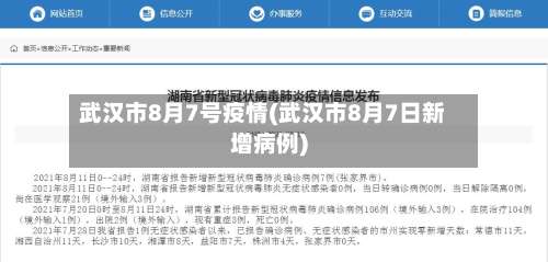 武汉市8月7号疫情(武汉市8月7日新增病例)