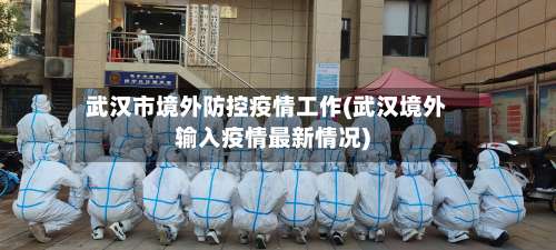 武汉市境外防控疫情工作(武汉境外输入疫情最新情况)