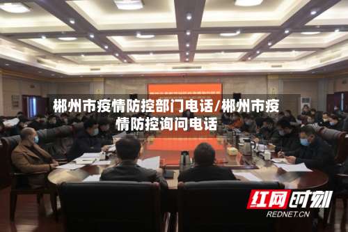 郴州市疫情防控部门电话/郴州市疫情防控询问电话-第2张图片