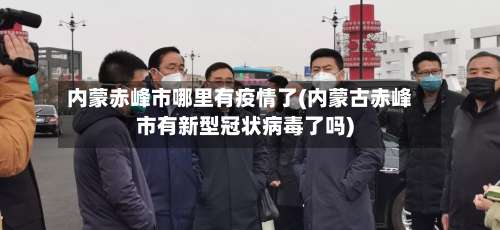 内蒙赤峰市哪里有疫情了(内蒙古赤峰市有新型冠状病毒了吗)-第2张图片