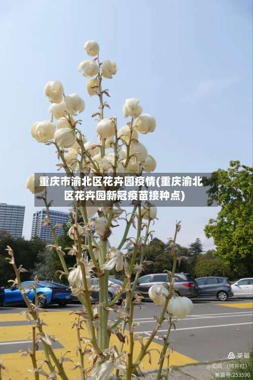 重庆市渝北区花卉园疫情(重庆渝北区花卉园新冠疫苗接种点)-第3张图片