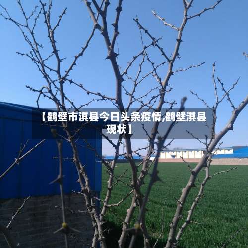 【鹤壁市淇县今日头条疫情,鹤壁淇县现状】