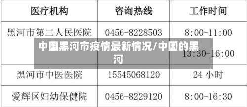 中国黑河市疫情最新情况/中国的黑河-第2张图片