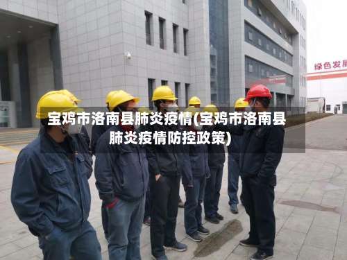 宝鸡市洛南县肺炎疫情(宝鸡市洛南县肺炎疫情防控政策)