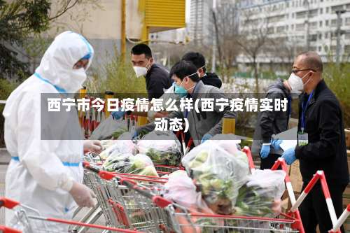 西宁市今日疫情怎么样(西宁疫情实时动态)-第3张图片