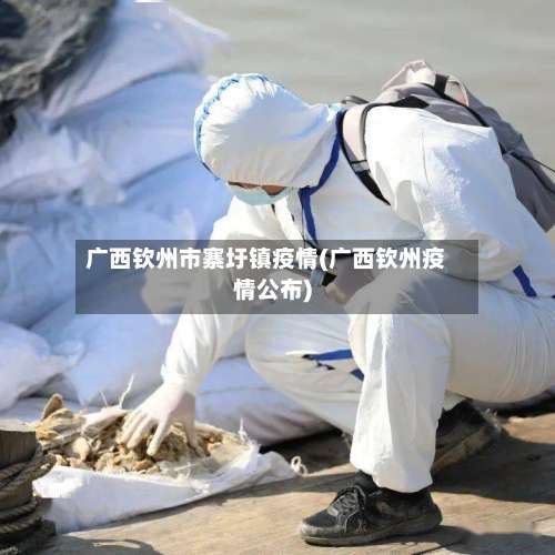 广西钦州市寨圩镇疫情(广西钦州疫情公布)-第2张图片