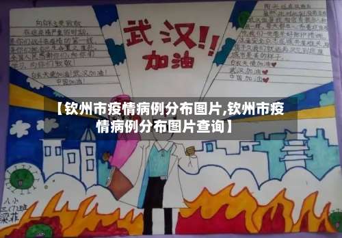 【钦州市疫情病例分布图片,钦州市疫情病例分布图片查询】