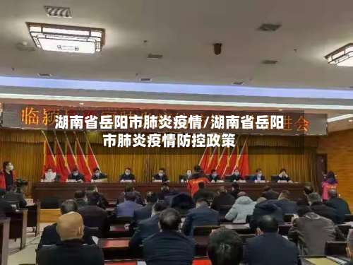 湖南省岳阳市肺炎疫情/湖南省岳阳市肺炎疫情防控政策