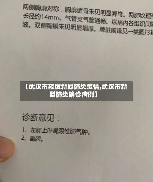 【武汉市轻度新冠肺炎疫情,武汉市新型肺炎确诊病例】