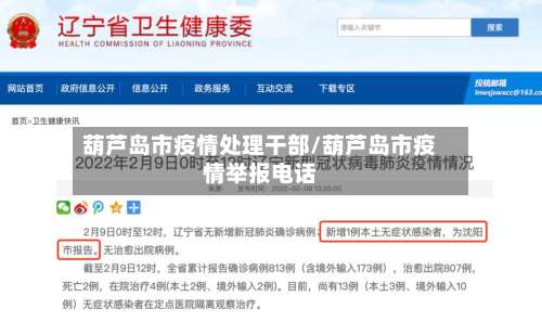 葫芦岛市疫情处理干部/葫芦岛市疫情举报电话-第3张图片