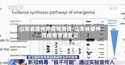 山东省德州市疫情溯源/山东省德州市疫情溯源查询