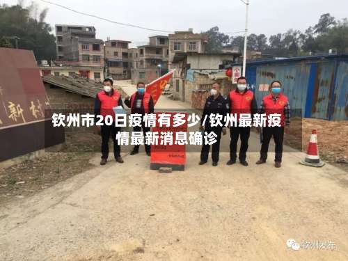 钦州市20日疫情有多少/钦州最新疫情最新消息确诊-第2张图片