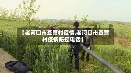 【老河口市查营村疫情,老河口市查营村疫情防控电话】-第2张图片