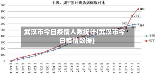 武汉市今日疫情人数统计(武汉市今日疫情数据)