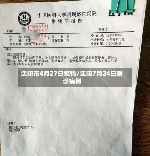 沈阳市4月27日疫情/沈阳7月24日确诊病例