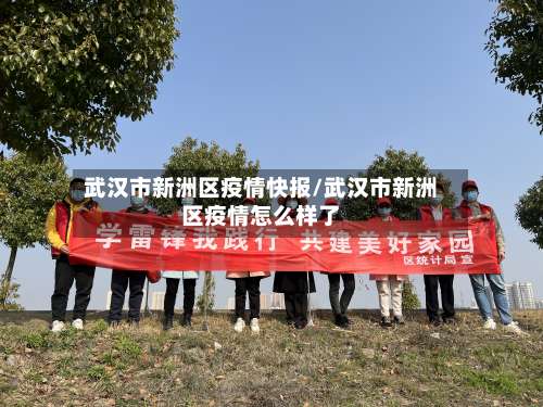 武汉市新洲区疫情快报/武汉市新洲区疫情怎么样了
