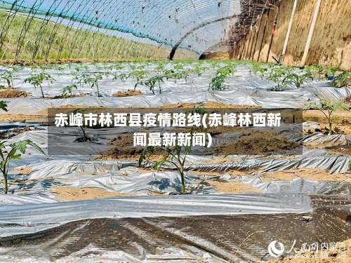 赤峰市林西县疫情路线(赤峰林西新闻最新新闻)-第2张图片