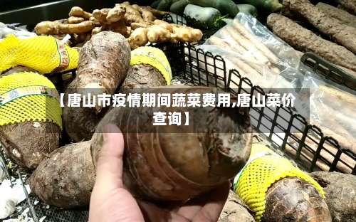 【唐山市疫情期间蔬菜费用,唐山菜价查询】