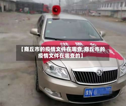 【商丘市的疫情文件在哪查,商丘市的疫情文件在哪查的】-第2张图片