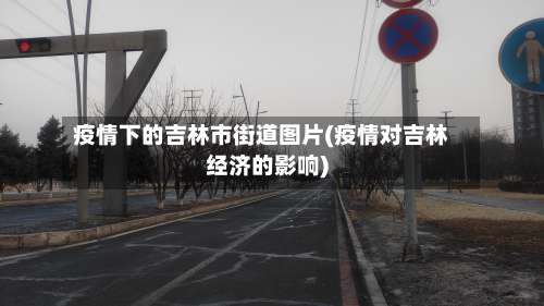 疫情下的吉林市街道图片(疫情对吉林经济的影响)-第2张图片