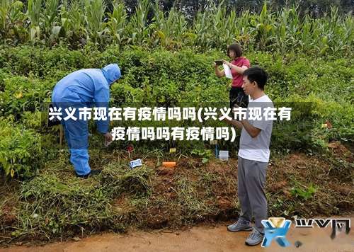 兴义市现在有疫情吗吗(兴义市现在有疫情吗吗有疫情吗)-第2张图片
