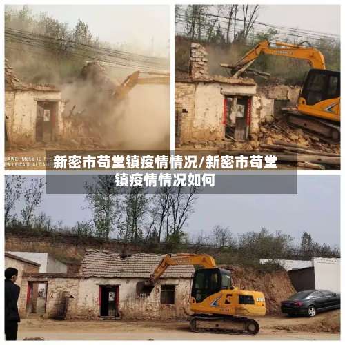 新密市苟堂镇疫情情况/新密市苟堂镇疫情情况如何