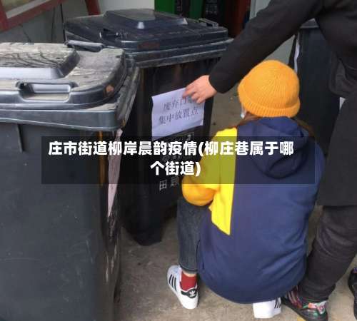 庄市街道柳岸晨韵疫情(柳庄巷属于哪个街道)