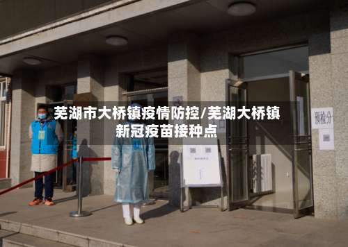芜湖市大桥镇疫情防控/芜湖大桥镇新冠疫苗接种点