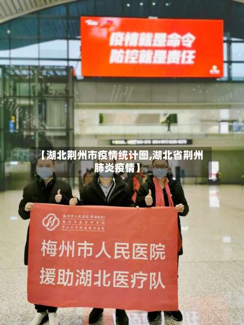 【湖北荆州市疫情统计图,湖北省荆州肺炎疫情】